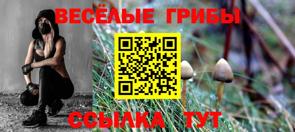 Курчатов  Псилоцибиновые грибы MAGIC MUSHROOMS  Вход с VPN 